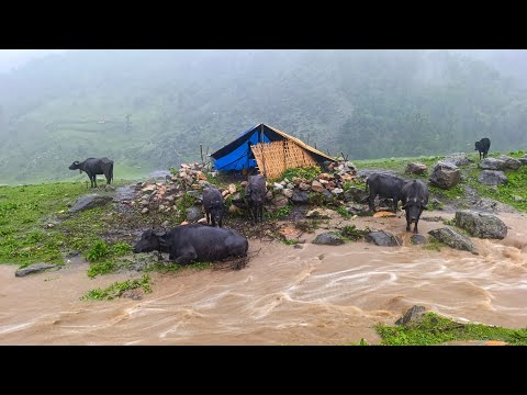 Naturally Most Beautiful Nepali Mountain Village Life in