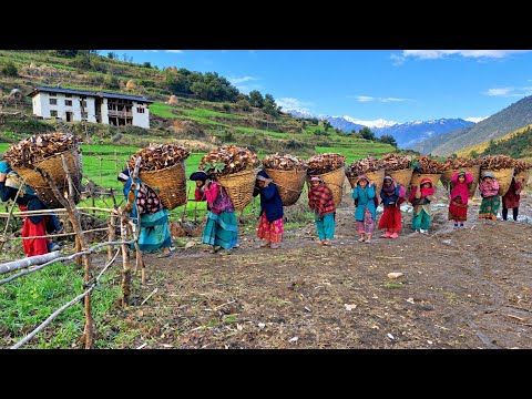 Naturally Most Beautiful Nepali Mountain Village Life