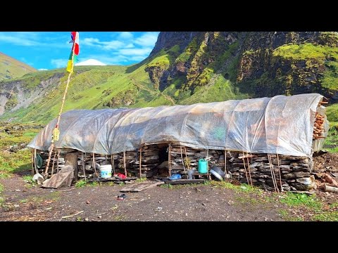 Himalayan Village Life Dolpa Nepal Yarsagumba Hunter