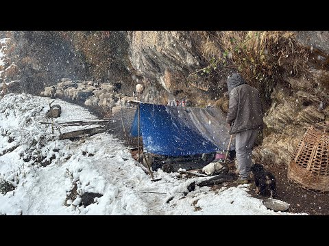 Surviving Shepherd Life in on of the Coldest Regions Of