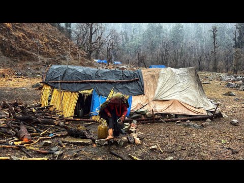 Best Life in A Himalayan Shepherds During the Snowfall Most
