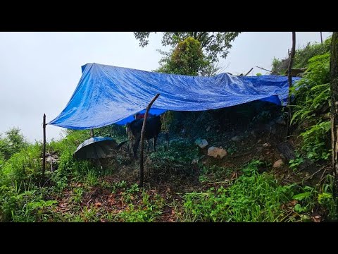 This is Shepherd Life Nepal Organic Shepherd Food Daily