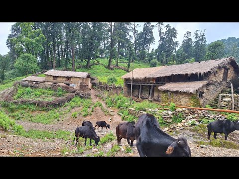 Most Peaceful Relaxing Mountain Rural Village Life in the