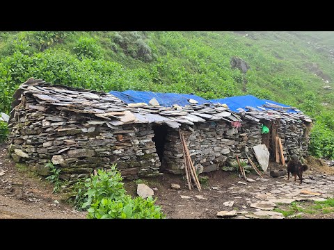 Real Nepali Mountain Village Life During the Rain Most