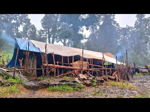 Nepali Mountain Village Life Organic Shepherd Food Best