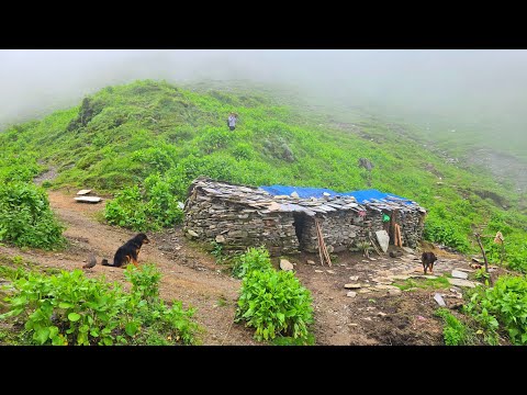 Naturally Beautiful Mountain Village Life During the Rain