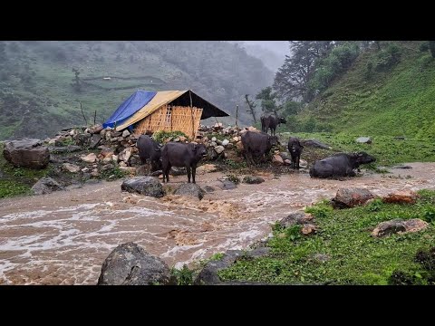 Naturally Most Beautiful Nepali Mountain Village Life in