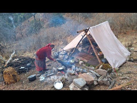 Himalayan Sheep Shepherd Life in Winter Shepherd Food
