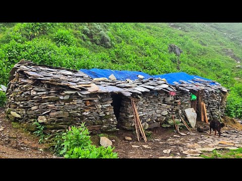 Poor But Happy Family Live in Beautiful House Organic Food