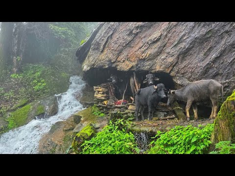 Real Nepali Mountain Village Life During Heavy Rain Season