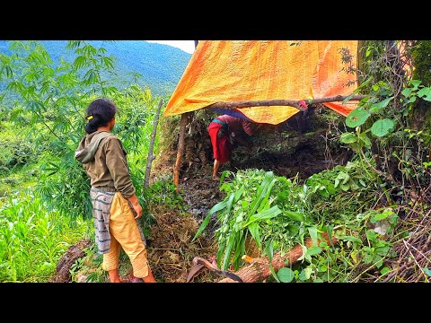 Daily working lifestyle in Nepali Mountain People Nepali