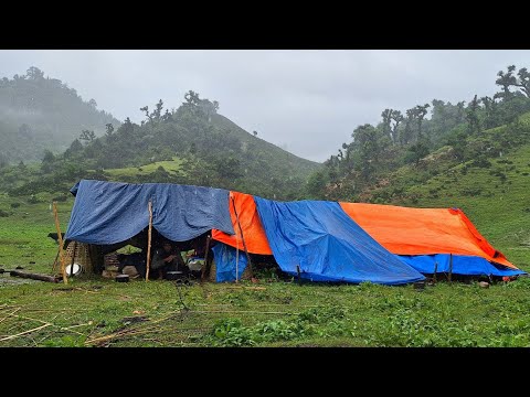 This is Shepherd Life Nepal Ep 5 Rainy Day Organic Shephed