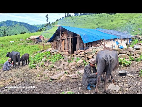 Simple the Best Nepali Mountain Village Life Nepal Making