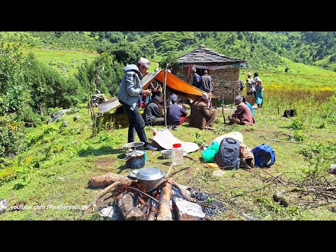 Organic food Cooking in countryside Shepherd kitchen
