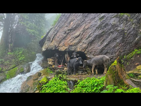 Real Himalayan Nepali Mountain Village Life During Heavy
