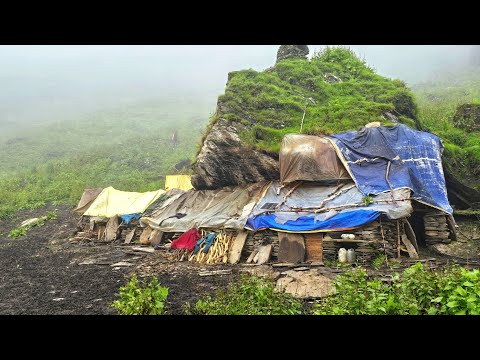 Best Life in A Himalayan Village During the Rainy Season