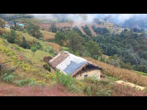 Beautiful Nepali Himalayan Village Simple Happy Lifestyle