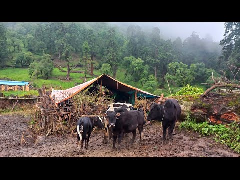Nepali Mountain Village Life Nepal Daily Life of Nepali