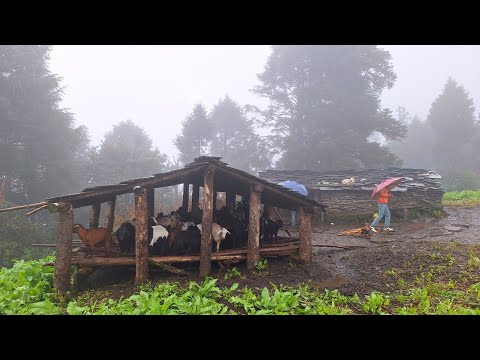 This is Himalayan Village Lifestyle Nepali Village Best