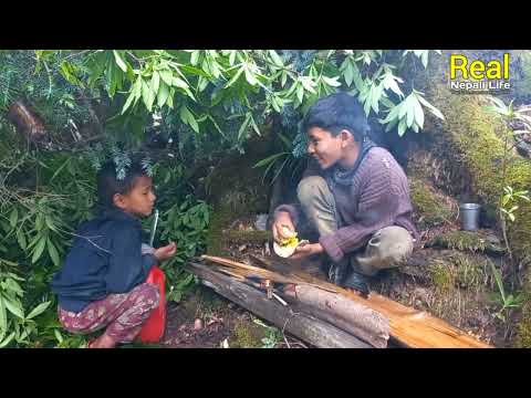 Nepali Mountain Village Little Boy Making Small cattle shed