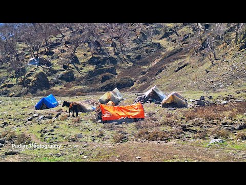 Himalayan Village Life Dolpa Nepal Organic Food Cooking