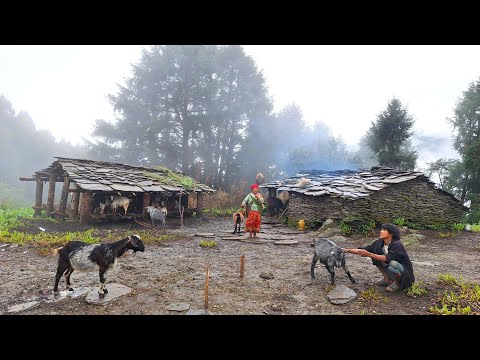 This is Himalayan Village During the Rain Most Peaceful And