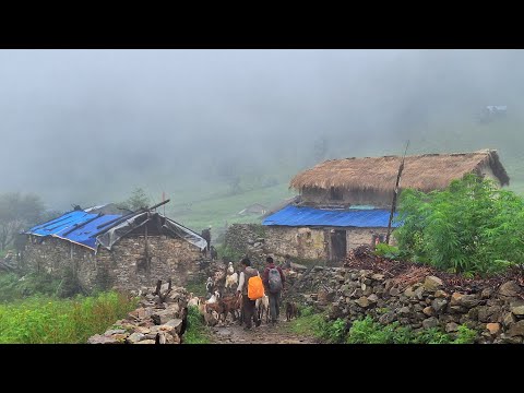 Rain Time Unexpected Rain Fall in Nepali Mountain Village