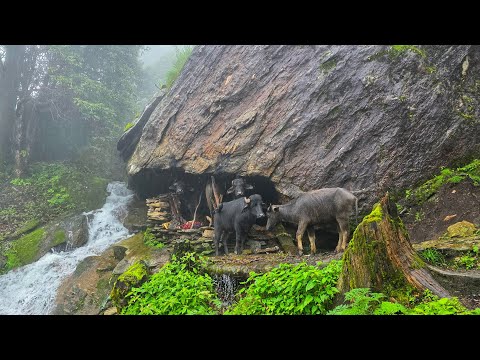 Surviving Life in the Nepali Mountains During the Rainy