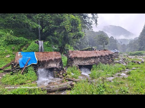 Simple the Best Nepali Mountain Village Life Organic Nepali