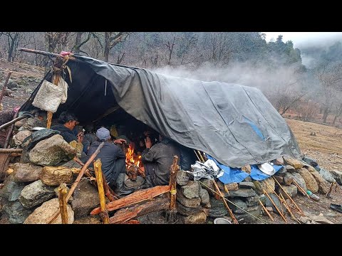 Nepali Himalayan Sheep Shepherd Life in Winter Shepherd