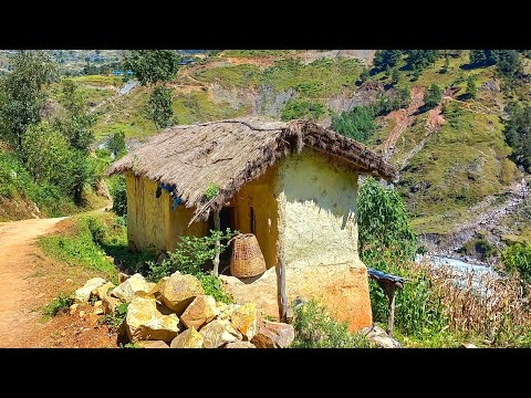Planting Potato in Nepali Mountain Village Style Village