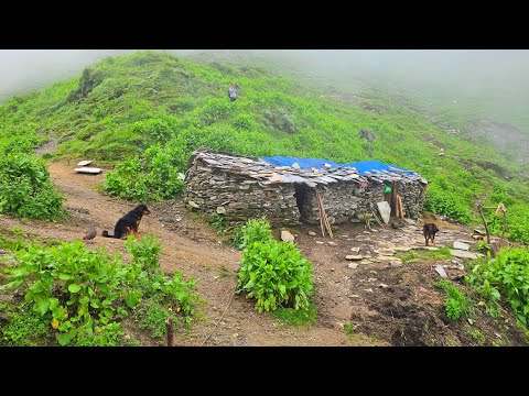 Real Himalayan Nepali Mountain Village Life During Heavy