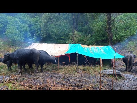 Organic Nepali Mountain Village Life Nepal River Crossing