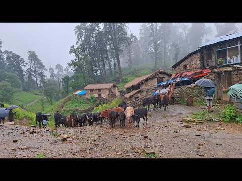 Most Peaceful Nepali Mountain Village Lifestyle Organic