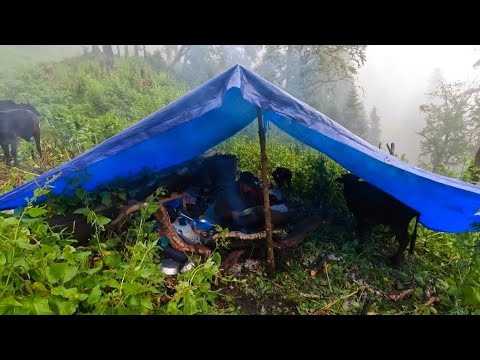 This is Shepherd Life Nepal Ep 2 Organic Shepherd Food