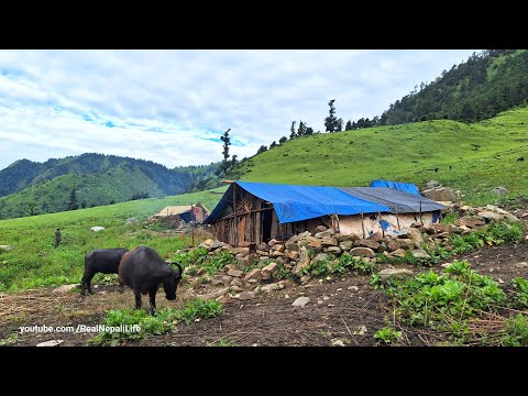 Simple The Best Nepali Himalayan Village Life in Mid West