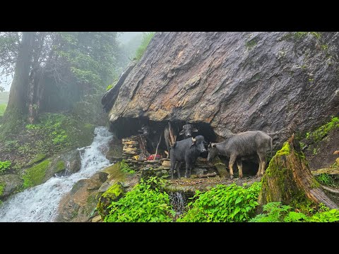 Real Himalayan Nepali Mountain Village Life During Heavy