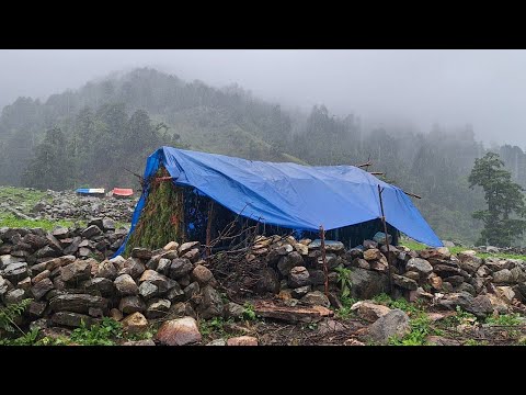 Most Relaxing Himalayan Village Life Rainy Day Daily