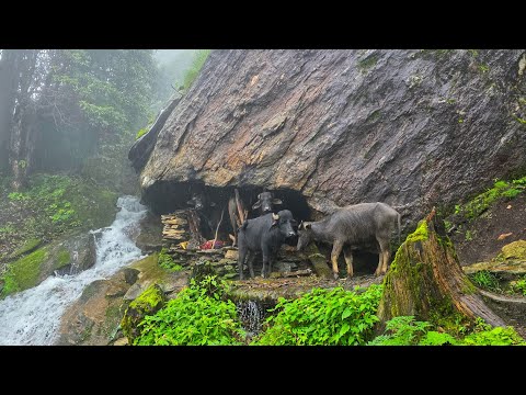 Real Nepali Mountain Village Life During the Rain Most