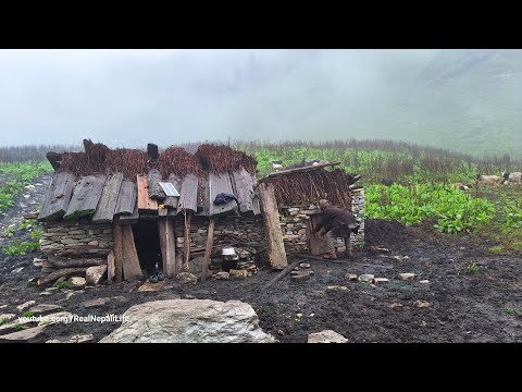 Poor But Very Happy Lifestyle of Mountain Village People