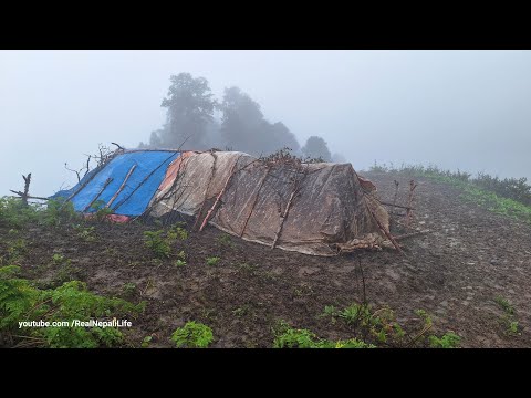 Very beautiful and Relaxing Mountain Village Life Life With