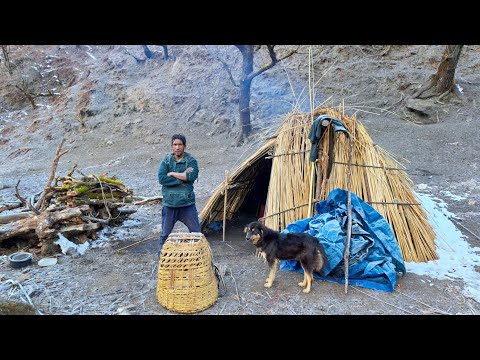 Nepali Mountain Village Life In Winter Sheep Shepherd Life