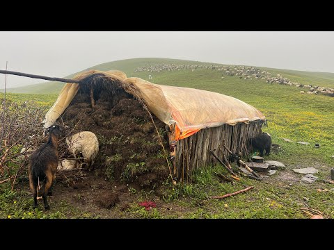Nepali Mountain Village Life Rainy Day Sheep Shepherd Life