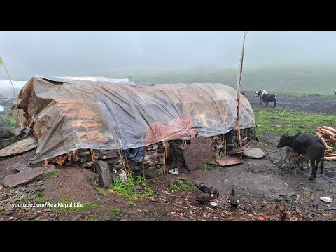 Nepali Mountain Village Life in Nepal Rainy Day Hunting