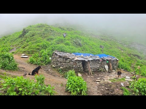 Real Himalayan Nepali Mountain Village Life During Heavy