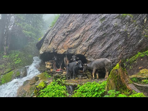 Real Nepali Mountain Village Life During the Rain Most