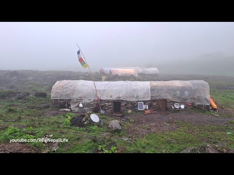 Himalayan Village Life Dolpa Nepal The Making Process Ghee