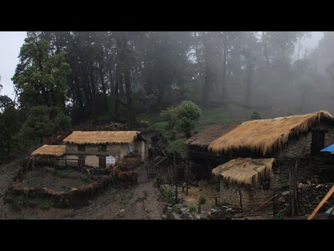 Nepali Mountain Village Life Chicken Curry Recipe Nepali