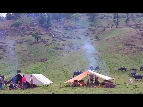 Nepali Mountain Village Life Organic Shepherd Food Cooking