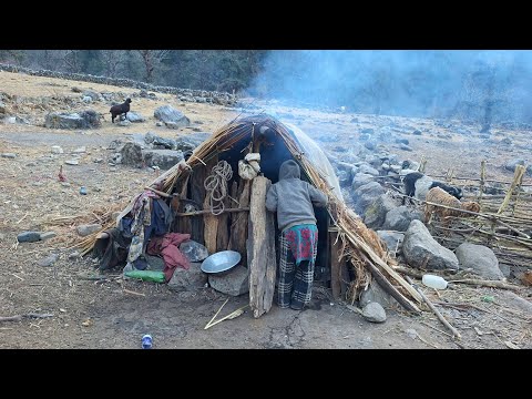 Best Life in the Himalayan Sheep Shepherd During the Winter